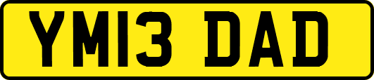 YM13DAD
