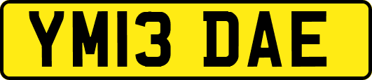 YM13DAE