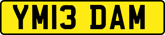 YM13DAM