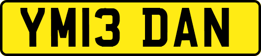 YM13DAN