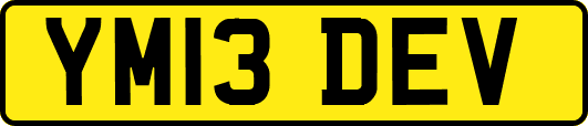 YM13DEV