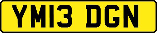 YM13DGN