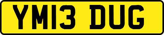 YM13DUG