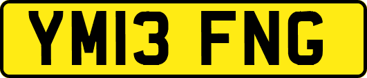 YM13FNG