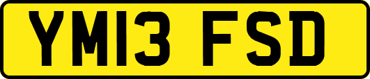 YM13FSD