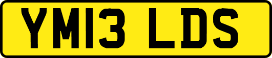 YM13LDS