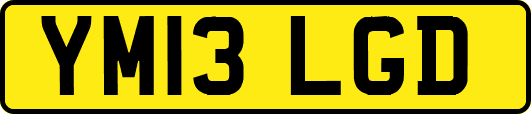 YM13LGD