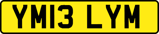 YM13LYM