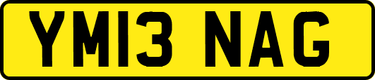 YM13NAG