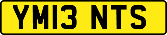 YM13NTS