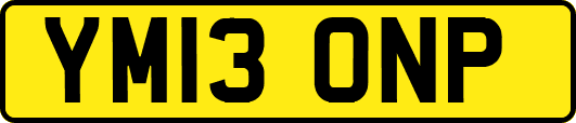 YM13ONP