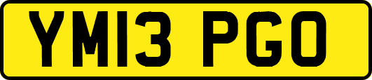 YM13PGO