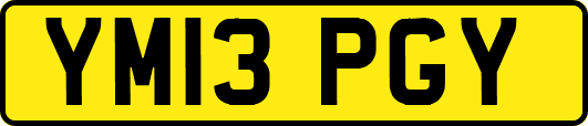 YM13PGY