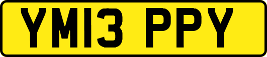 YM13PPY