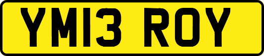YM13ROY