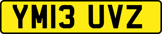 YM13UVZ