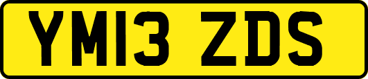 YM13ZDS