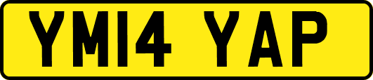 YM14YAP