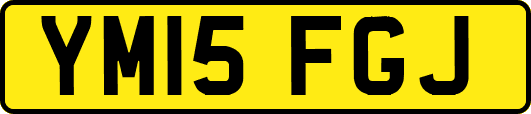 YM15FGJ