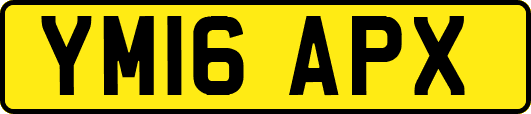 YM16APX