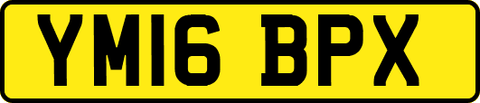 YM16BPX