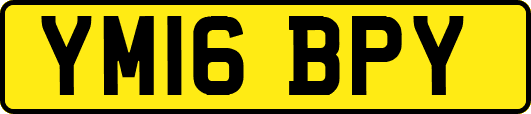 YM16BPY