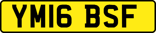 YM16BSF
