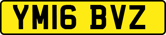 YM16BVZ