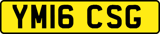 YM16CSG