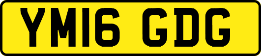 YM16GDG