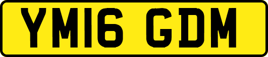YM16GDM