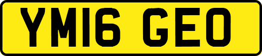 YM16GEO