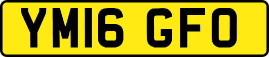 YM16GFO