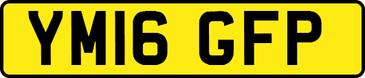 YM16GFP