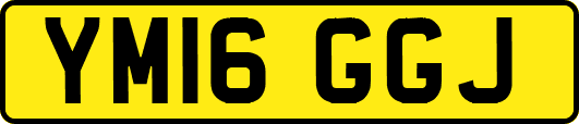 YM16GGJ