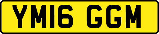 YM16GGM