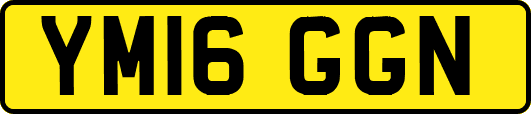 YM16GGN