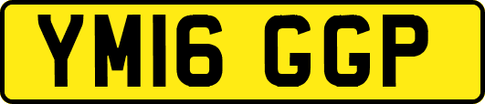 YM16GGP