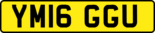 YM16GGU
