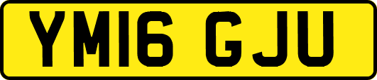 YM16GJU
