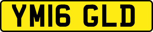 YM16GLD