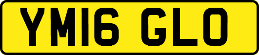 YM16GLO