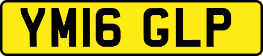 YM16GLP