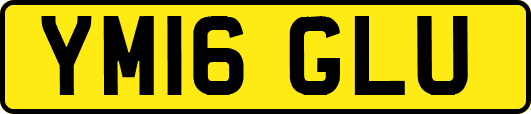 YM16GLU