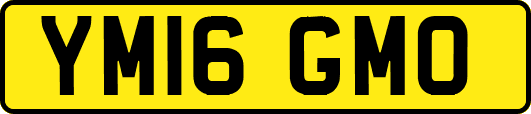 YM16GMO