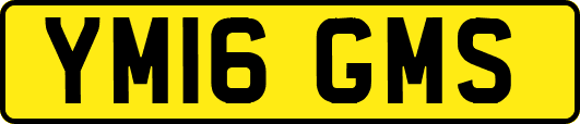 YM16GMS