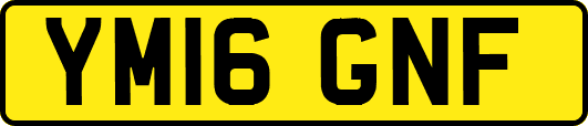 YM16GNF