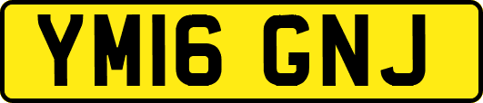 YM16GNJ
