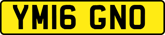 YM16GNO