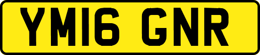 YM16GNR